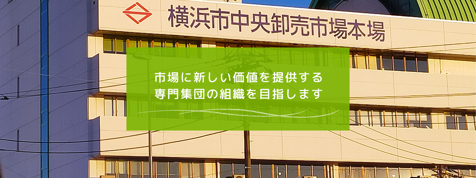 市場に新しい価値を提供する専門集団の組織を目指します